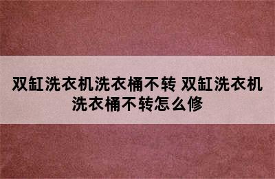 双缸洗衣机洗衣桶不转 双缸洗衣机洗衣桶不转怎么修